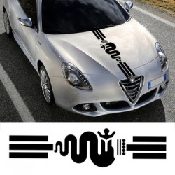 Alfa Romeo bonet 120*30cm...
